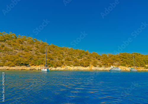 anchored yachts photo