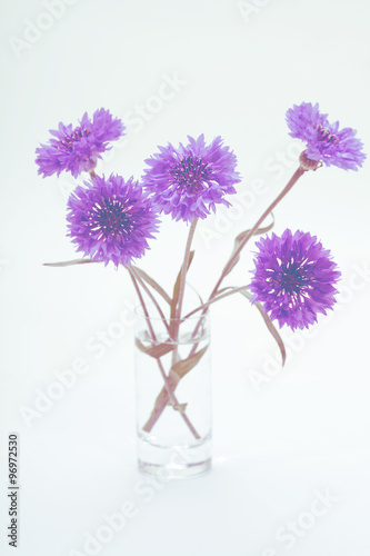 Blue cornflower. Flower bouquet.