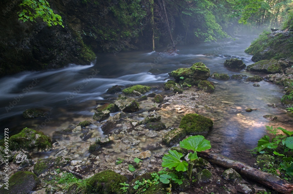 Creek Velka Biela voda in the Slovensky raj National Park, northern Slovakia. - obrazy, fototapety, plakaty 