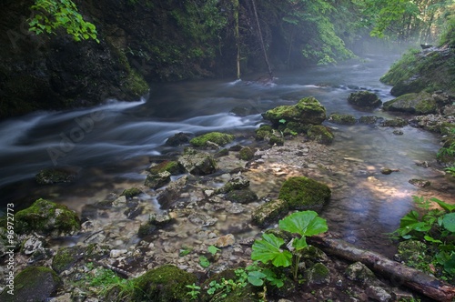 Creek Velka Biela voda in the Slovensky raj National Park, northern Slovakia.