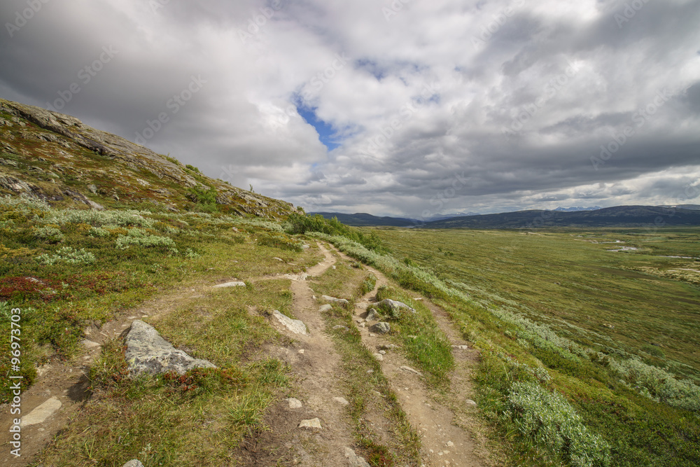 Footpath leading into Dovrefjell National Park, Norway