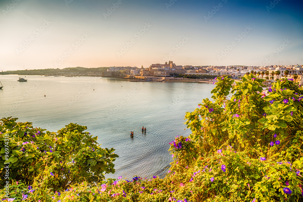 Obraz premium Bay on the Adriatic sea