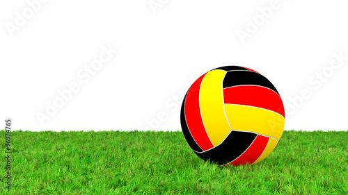 Fussball in Landesfarben auf Rasenfläche