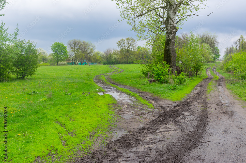 Clasic landscape with dirty road in rural Ukrainian area at spring season . It's overcast and rainy weather Clasic landscape with dirty road in rural Ukrainian area at spring season . It's overcast and rainy weather