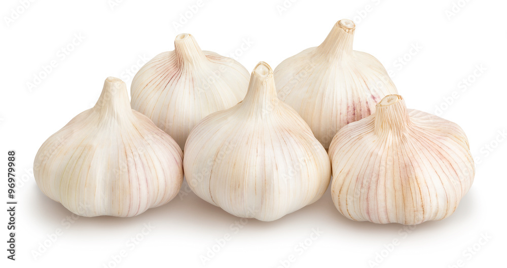 garlic garlic