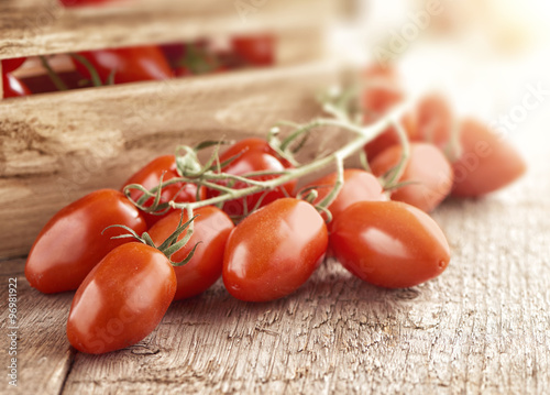 Mini san marzano tomatoes on the vine