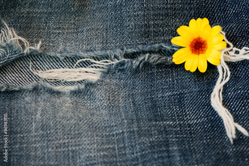 shabby jeans texture with yellow flower