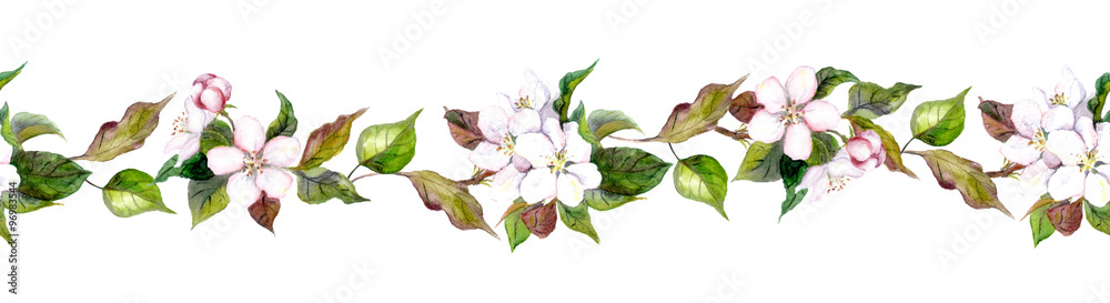 Fototapeta premium Seamless borders with apple flowers 