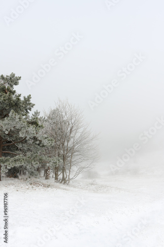 Amazing winter landscape in mountin forest, Cmas greeting card pattern