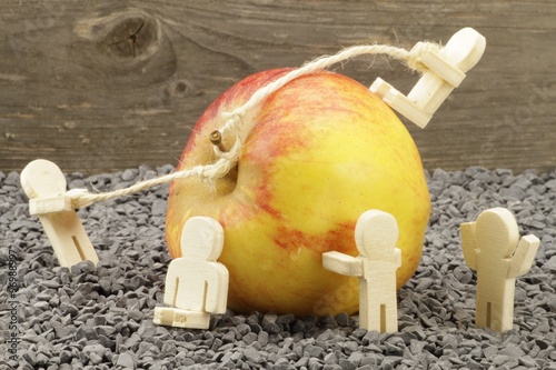 Gemeinsam schneller an die süßen Früchte des lebens