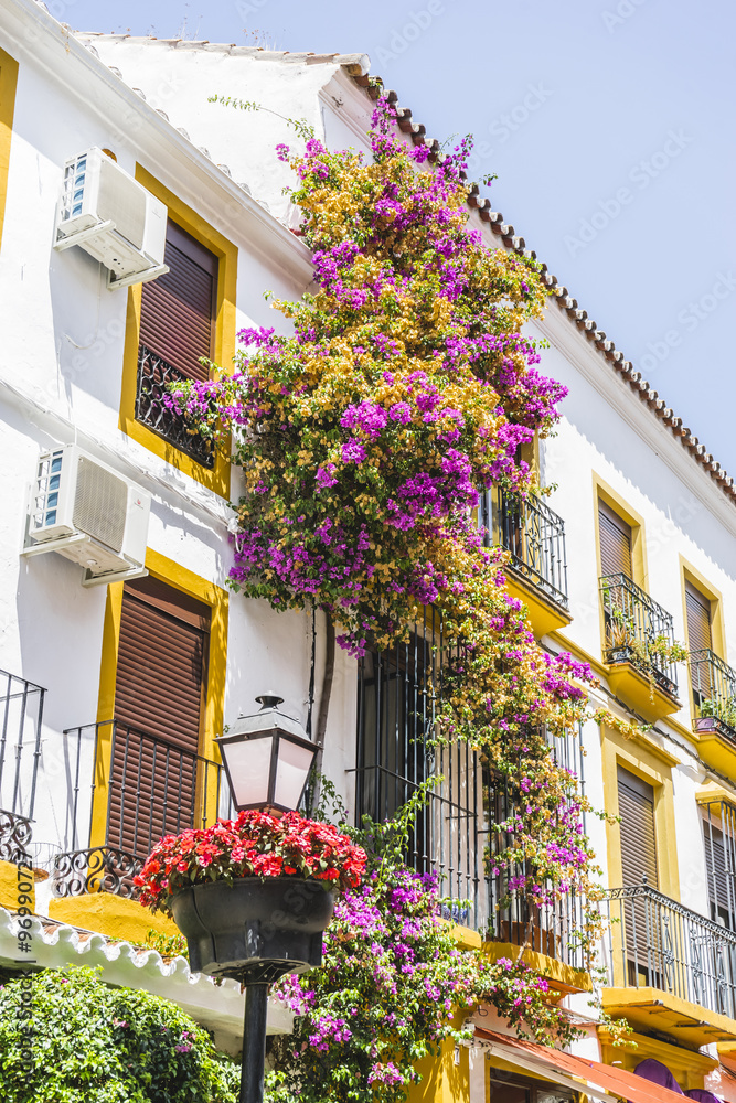 gardening, traditional Andalusian streets with flowers and white