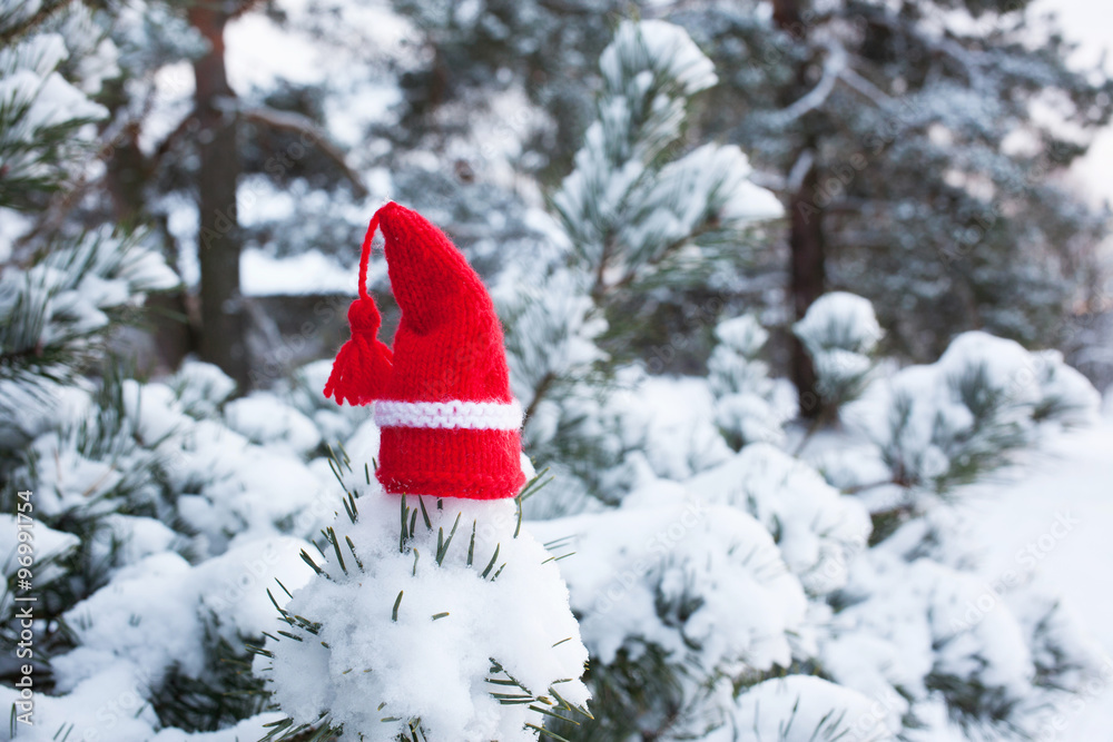 Pine in snow on the street and a red Christmas hat cap Pine in snow on the street and a red Christmas hat cap