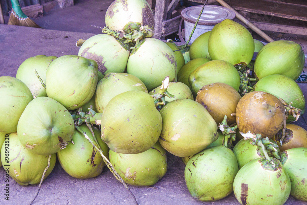 Green coconut Cocos nucifera