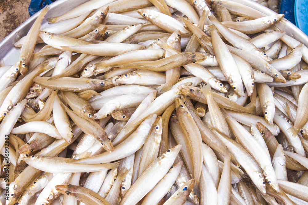 Small fish at market, in Phu quoc, Vietnam Small fish at market, in Phu quoc, Vietnam
