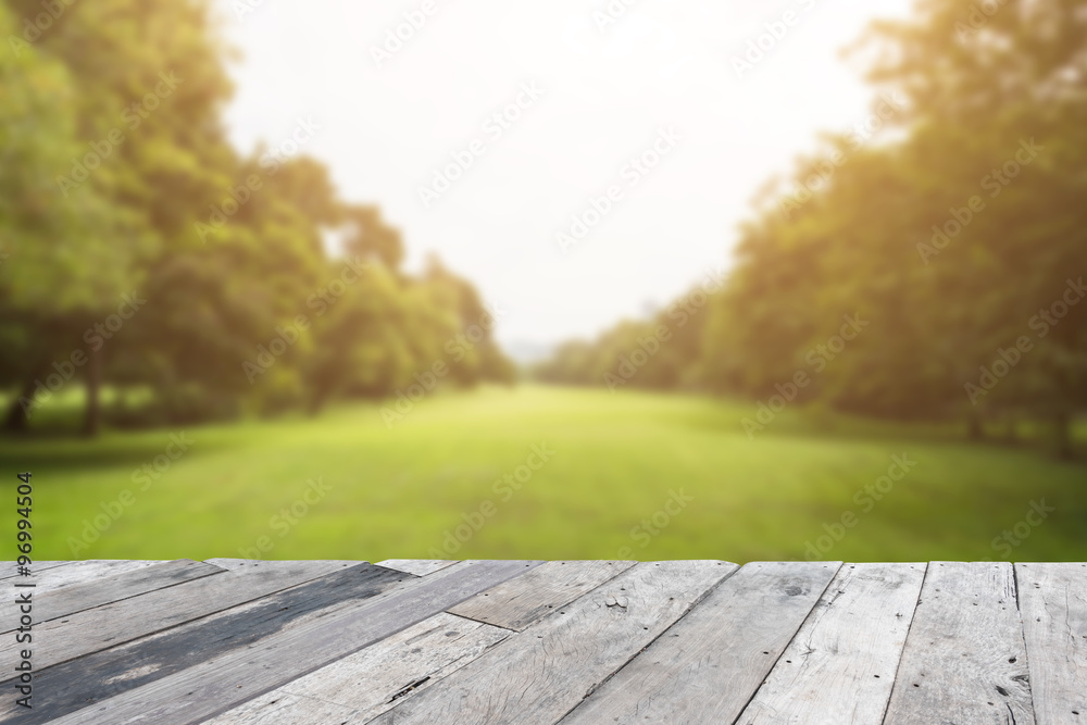custom made wallpaper toronto digitalWood floor with blurred trees of nature park background