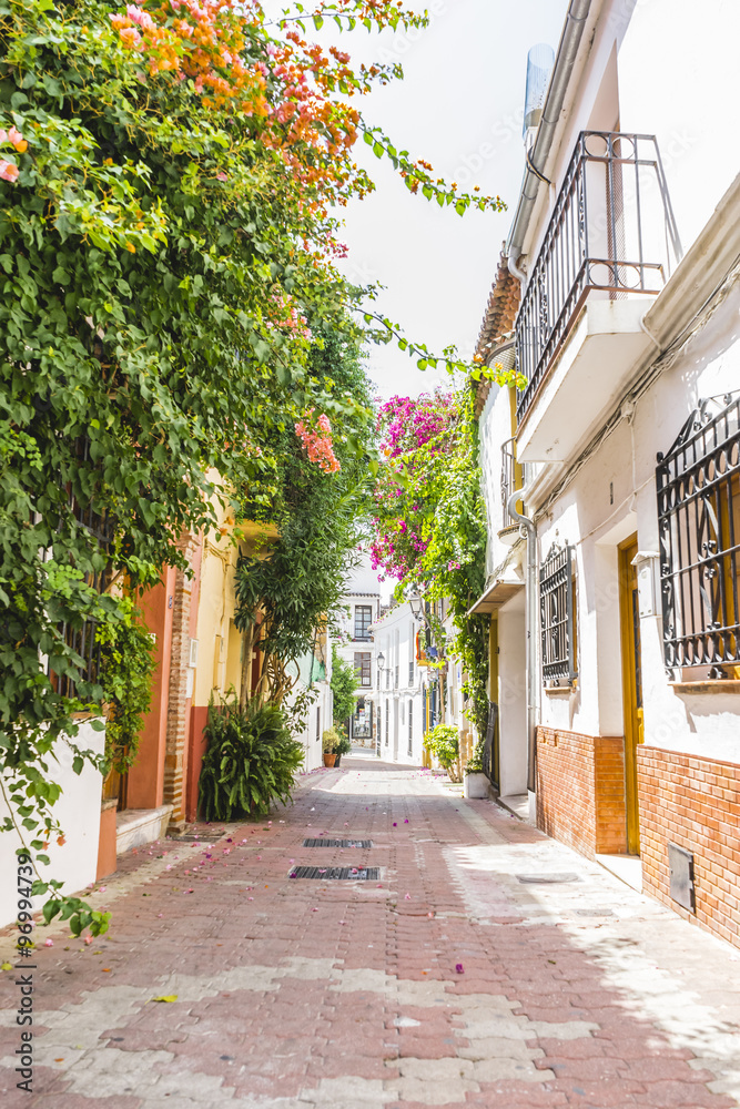 Obraz premium typical Andalusian streets and balconies with flowers in Marbell