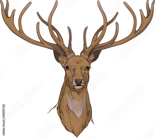 deer head with horns 