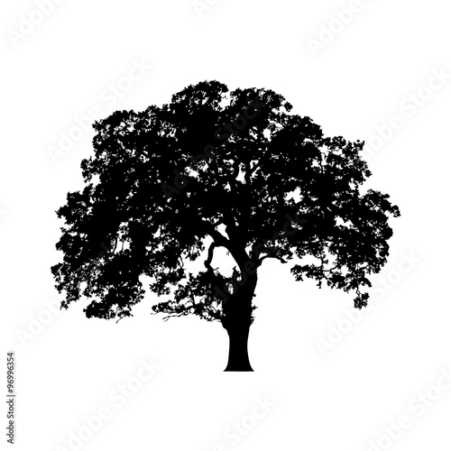Beautiful vector tree illustration silhouette icon for websites Fototapet