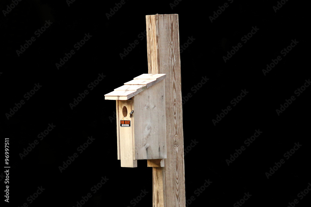 Birdhouse Black Background - For Rent