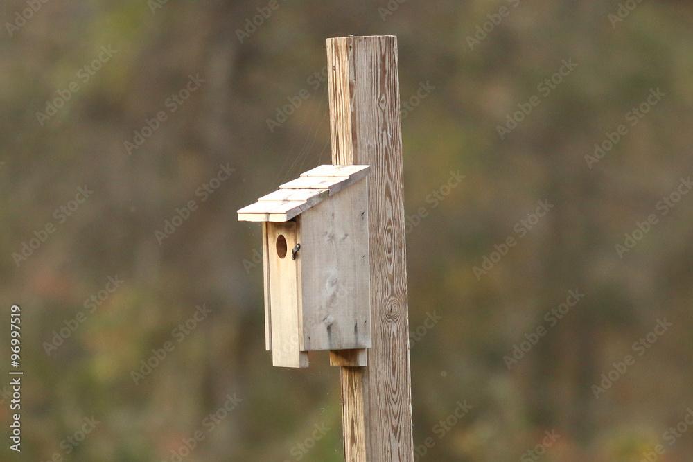 Birdhouse