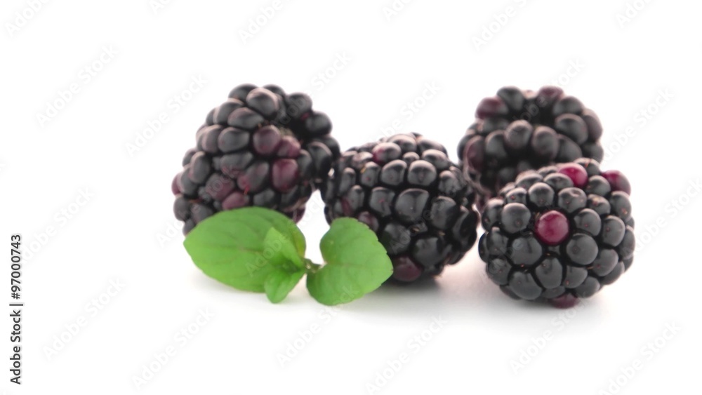 Blackberries with leaves isolated on white background. Blackberries with leaves isolated on white background.
