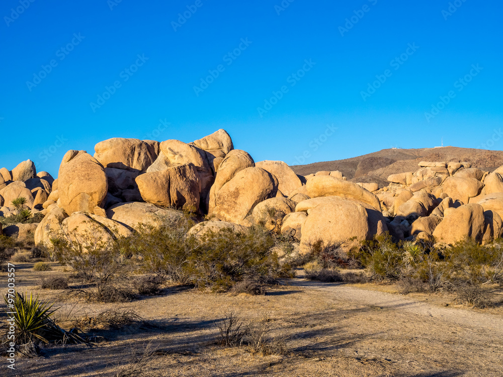 Landscape in Joshua Tree National Park, California, USA, where the Mojave and Colorado desert ecosystems meet.