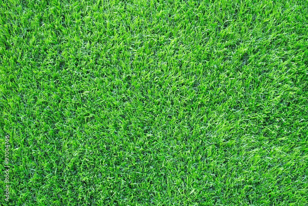 artificial Turf artificial Turf