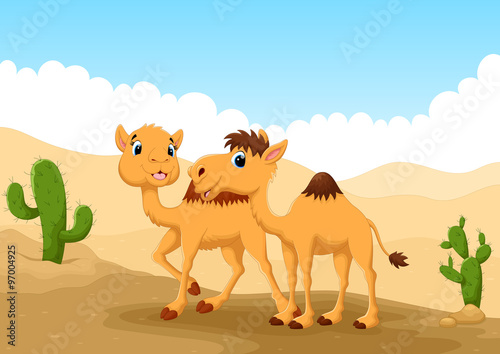 illustration of camels in desert 