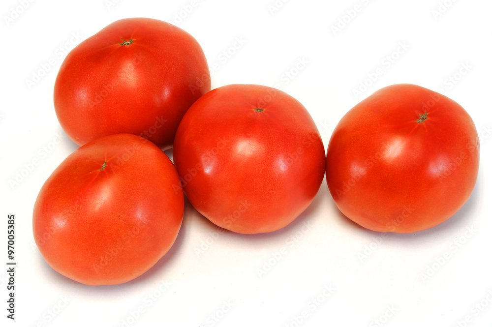 tomato on white background tomato on white background