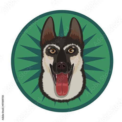 East Shepherd Dog/ the shepherd dog is a guard, a guard and a good friend, always ready to protect and to fulfill the command of the owner 
