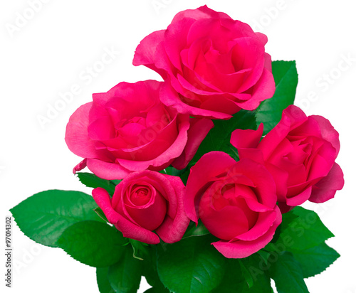 Bouquet of pink roses