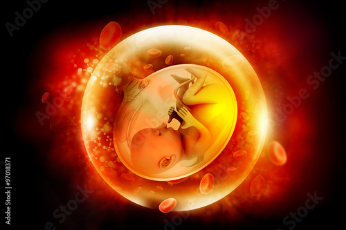 Human fetus Fototapet