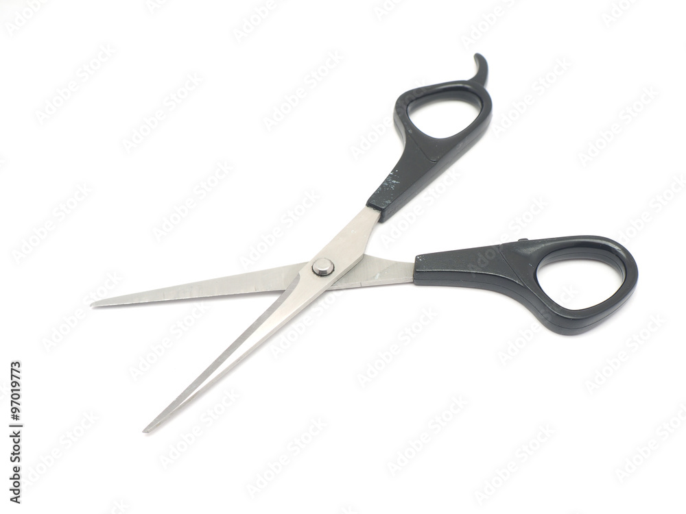 scissors on a white background scissors on a white background