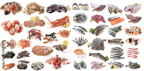 seafood fishs and shellfish photo