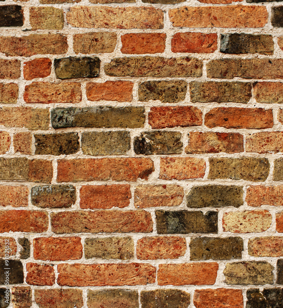 Fototapeta premium Tekstura muru z cegły