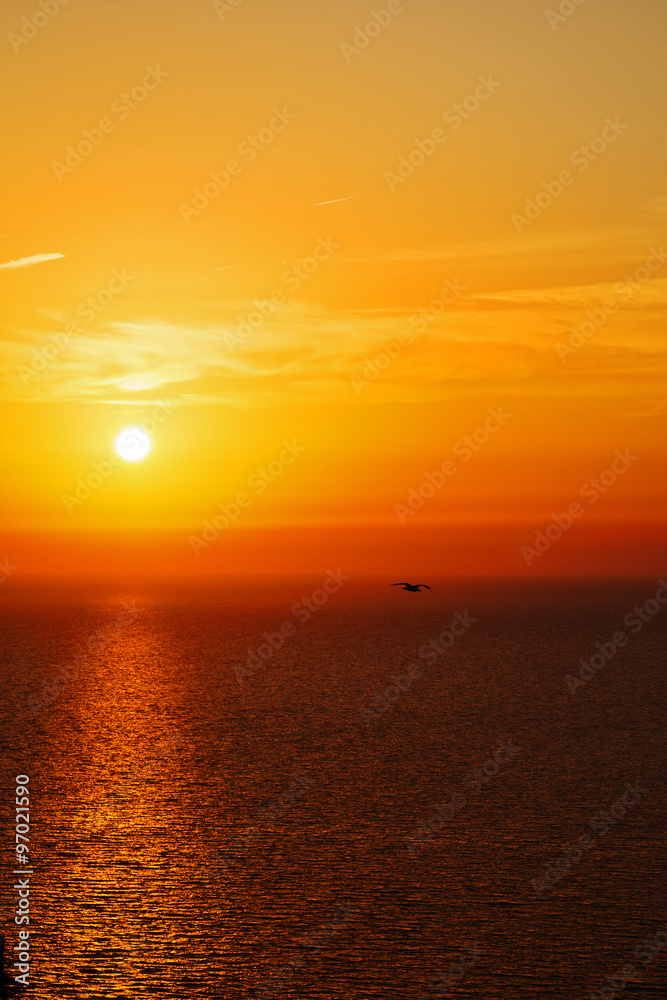 in santorini    greece sunset and the sky mediterranean red sea