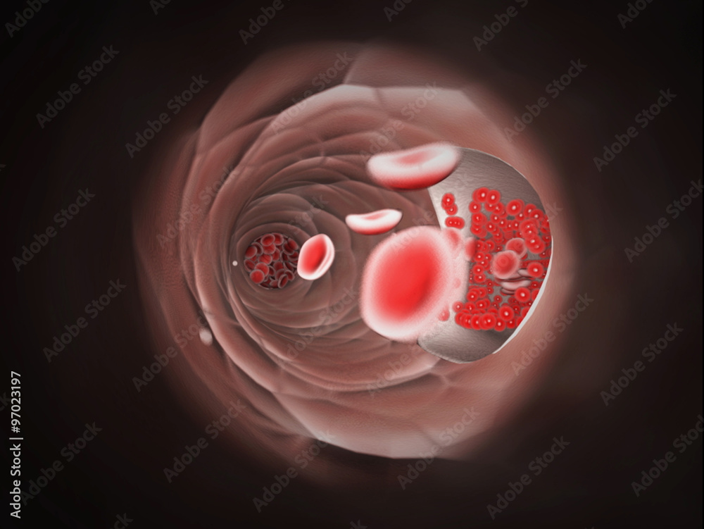 Endoscopic view of flowing red blood cells in a vein Stock Photo ...