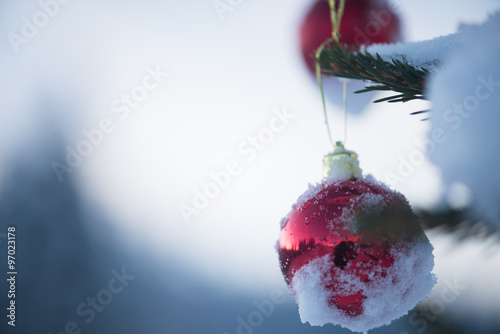 christmas balls on tree photo