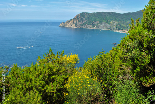 Panoramic landscape in the Cinque Terre area