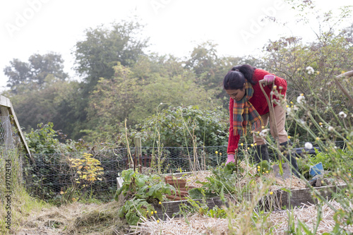 Woman maintaining her allotment