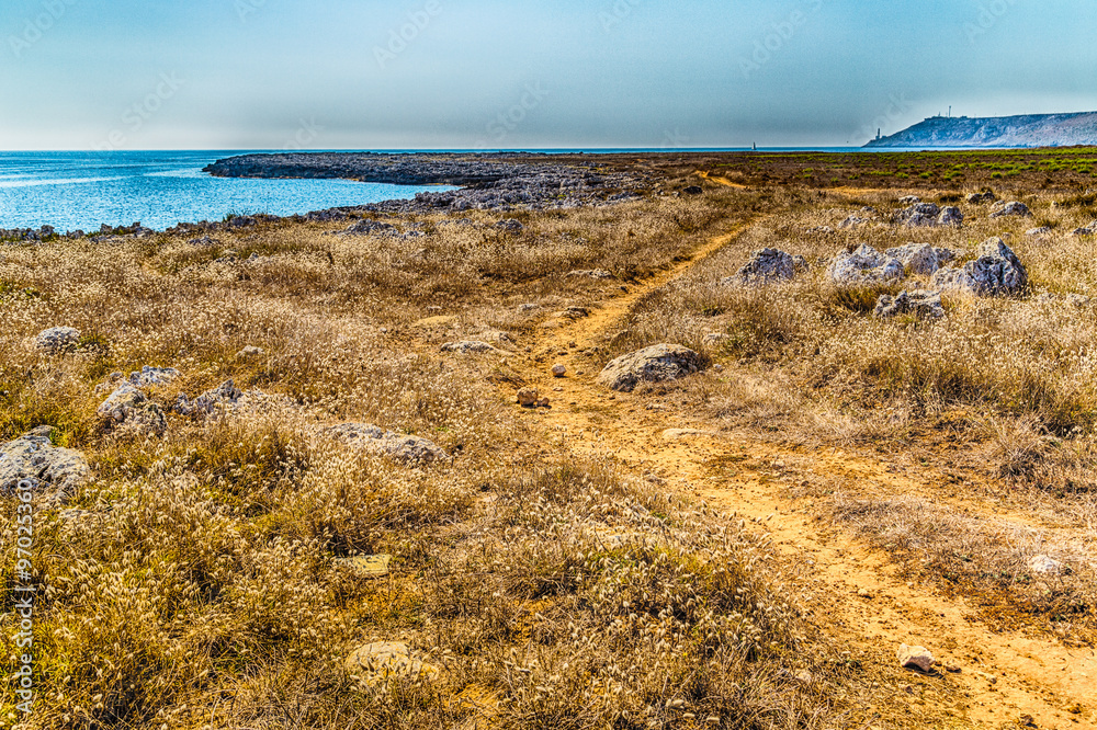 red path on the rocky beach