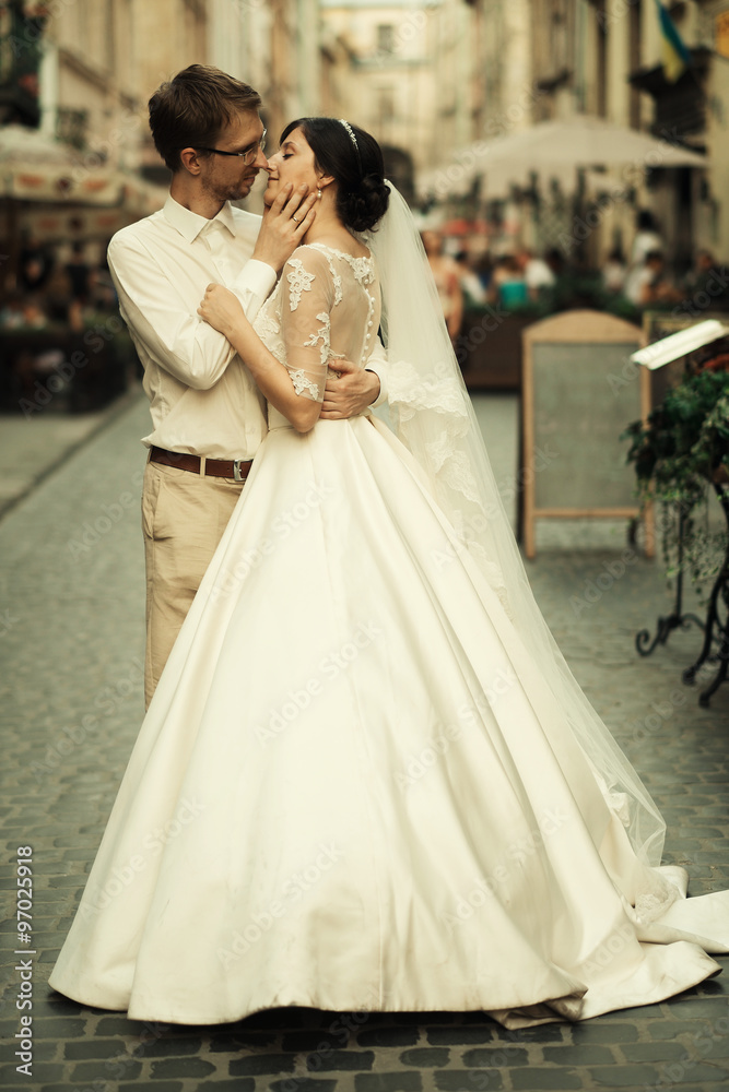 stylish luxury  bride and elegant groom
