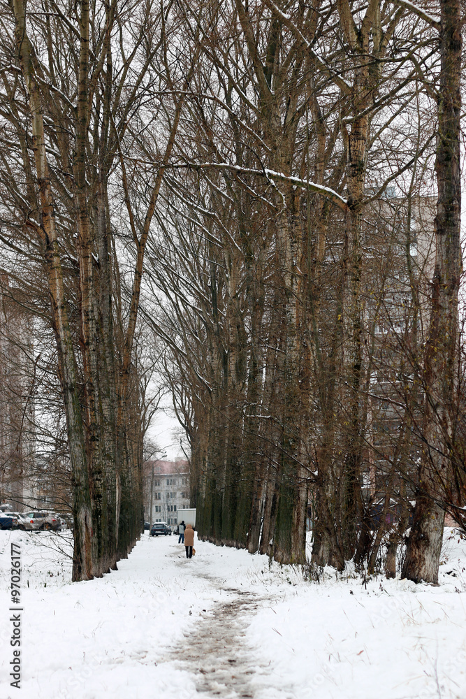 Fototapeta premium snow trees yard house evening