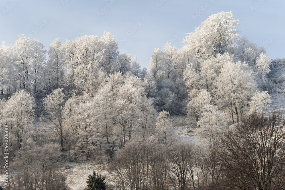 Winter landscape. Frost morning in mountains. Winter landscape. Frost morning in mountains.