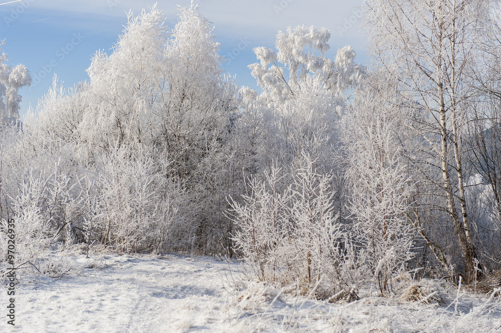 Winter landscape. Frost morning in mountains. Winter landscape. Frost morning in mountains.