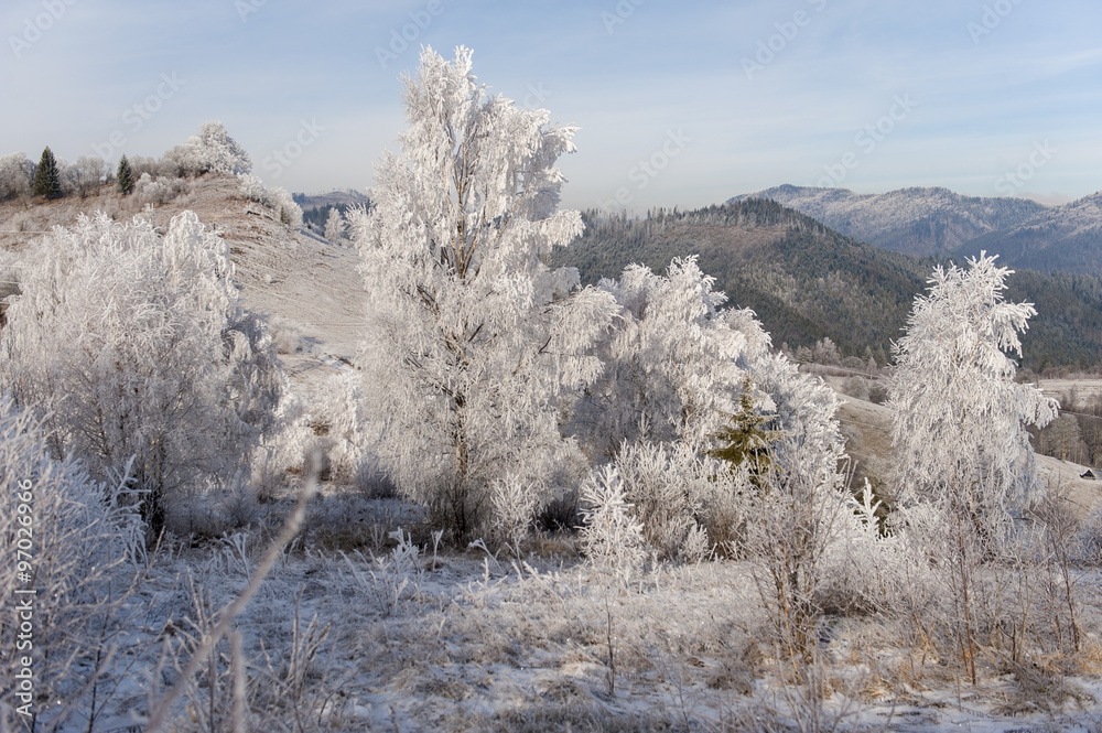 Winter landscape. Frost morning in mountains. Winter landscape. Frost morning in mountains.