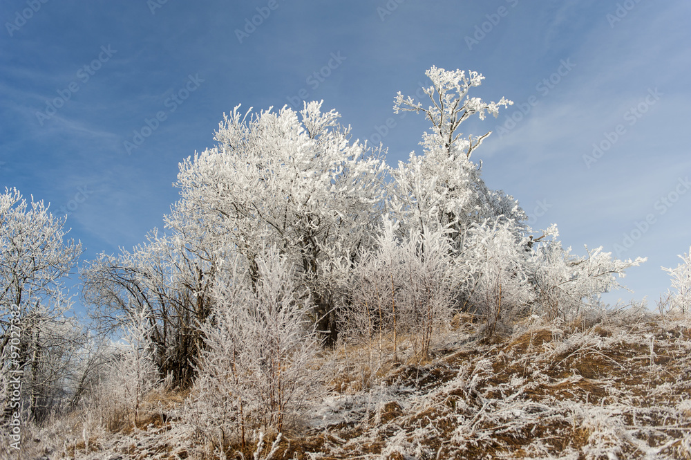 Winter landscape. Frost morning in mountains. Winter landscape. Frost morning in mountains.
