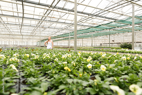 Young gardener working in a large greenhouse nursery