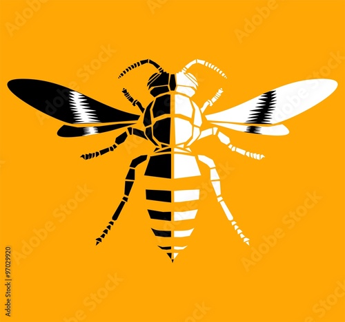 Wasp, vector icon