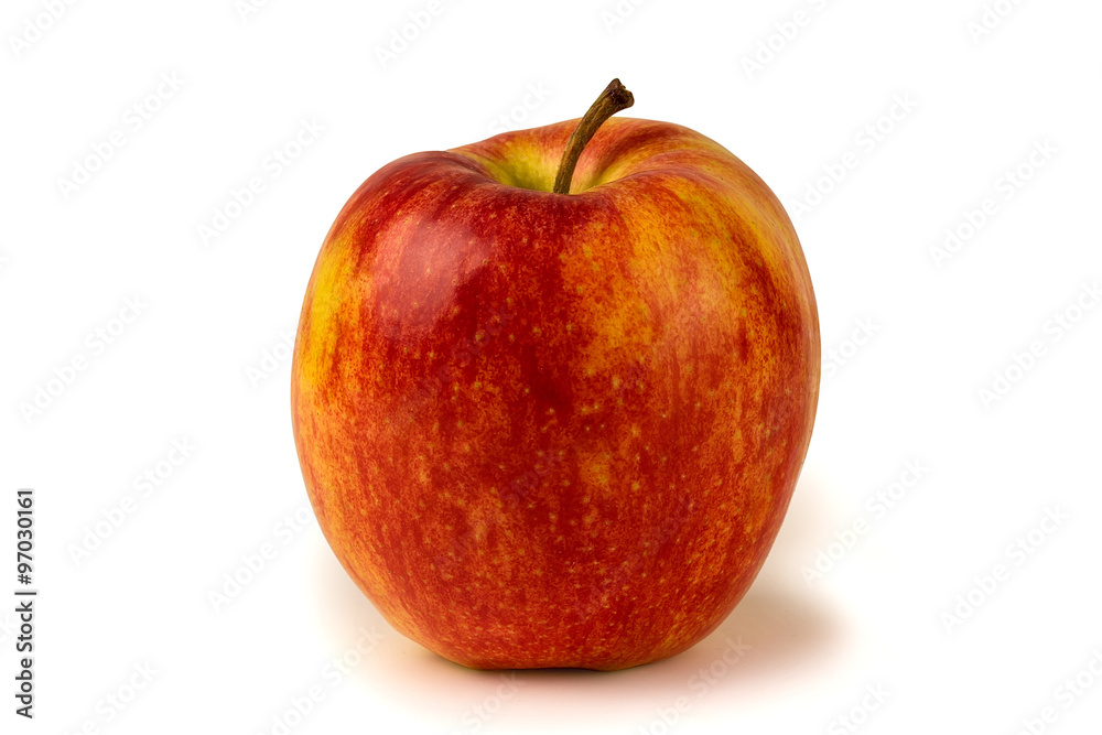 Red and yellow apple on a white background Red and yellow apple on a white background